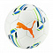 Мяч футзальные "PUMA FUTSAL 1"