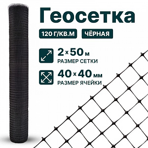 Геосетка 2х50